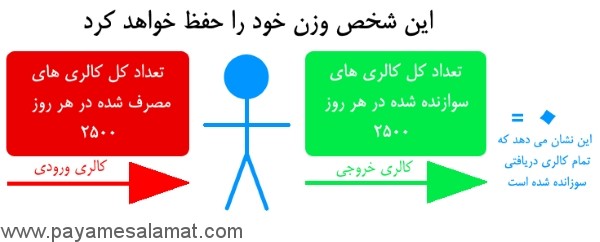 کالری مورد نیاز هر فرد