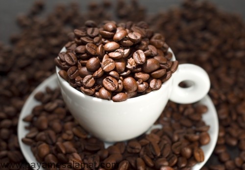 مهمترین منابع اصلی کافئین کدامند؟
