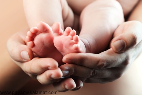 علل نازایی زنان از دیدگاه ابن سینا