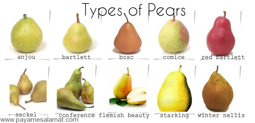 type-of-pear