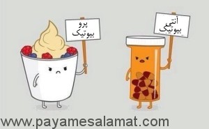 داستان جالب پروبیوتیک ها در بدن