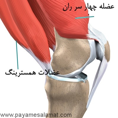 مزایای بالا رفتن از پله چیست؟