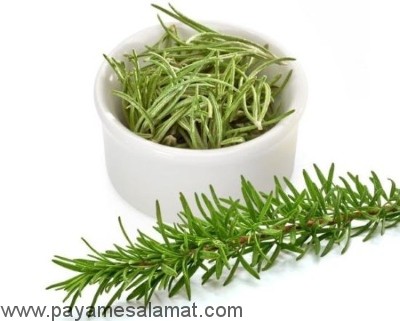 چطور از رزماری برای افزایش رشد مو استفاده کنیم؟