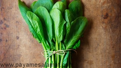 عصاره اسفناج لاغر کننده ای مناسب