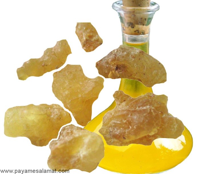 خواص اسانس و روغن کندر