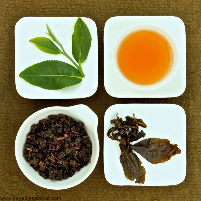 طرز تهیه چای اولانگ