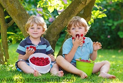 معرفی مواد غذایی برای پسر شدن جنین