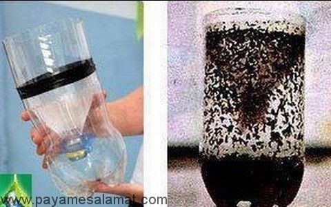 10 راه موثر و طبیعی برای دفع پشه