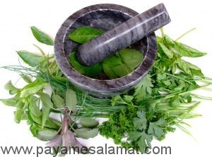 نسخه های گیاهی برای برجسته کردن سینه ها