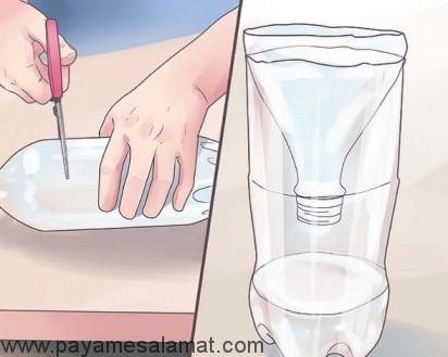 چگونگی از بین بردن سوسک ها خانه با استفاده از مواد طبیعی