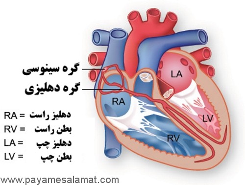 آشنایی با دستگاه تنظیم ضربان قلب (باطری قلب)