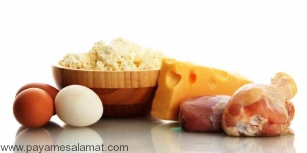 معرفی رژیم غذایی حاوی پروتئین برای افزایش انرژی