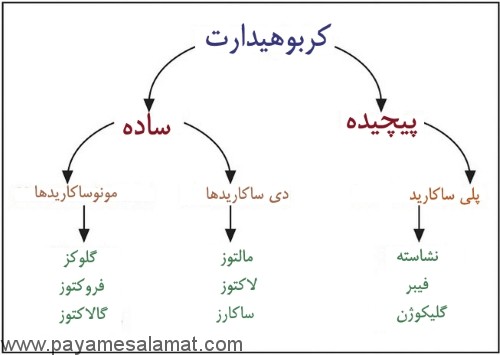 با کربوهیدرات بیشتر آشنا شوید