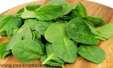 خواص اسفناج - سبانخ - Spinach