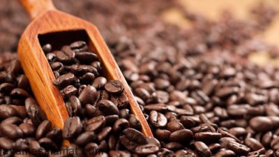 مهمترین منابع اصلی کافئین کدامند؟