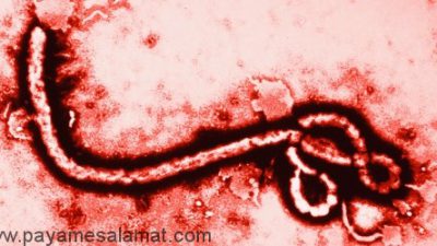جلوگیری از انتقال بیماری ابولا از طریق رابطه جنسی