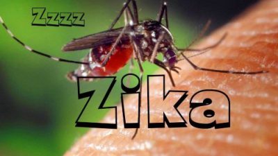 همه آنچه که باید درباره ویروس زیکا Zika بدانید