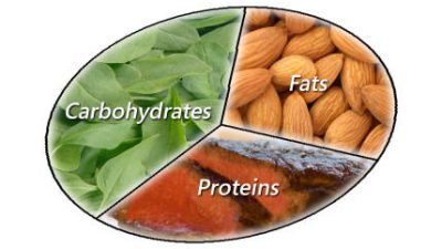 سه منبع اصلی کالری در رژیم غذایی