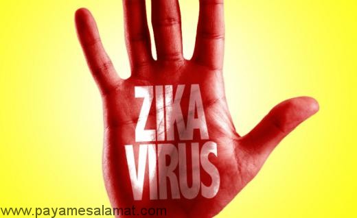 هشدارهای جدی درباره ویروس زیکا