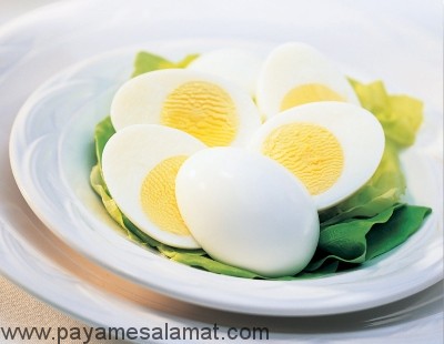 مهمترین خواص و فواید تخم مرغ برای بدن