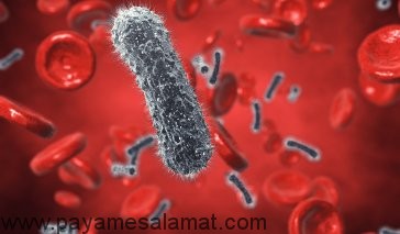 مسمومیت خون - علائم و نشانه هایی که بایستی به آن ها توجه شود