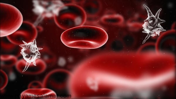 مسمومیت خون - علائم و نشانه هایی که بایستی به آن ها توجه شود