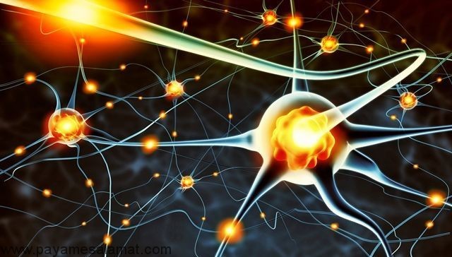 بهترین مکمل های سروتونین برای بهبود خلق و خو و درمان افسردگی