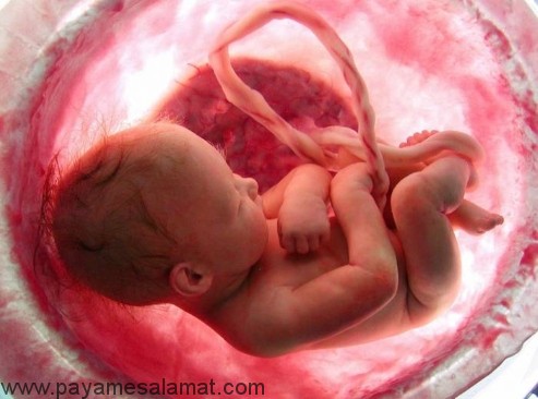 رشد سه ماهه سوم جنین در بارداری