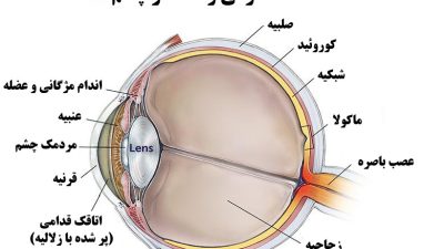 عملکرد و ساختار چشم