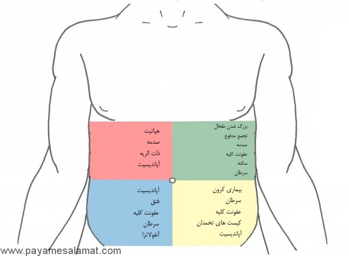 علت درد شکم در بخش های مختلف آن