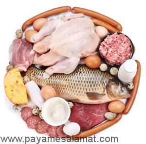 مواد غذایی با پروتئین بالا در هر کالری