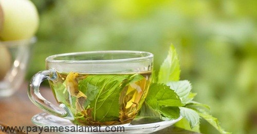 چای گیاهی برای بهبود هضم