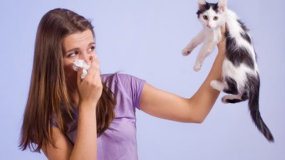 علل، علائم، آزمایش و درمان حساسیت به گربه