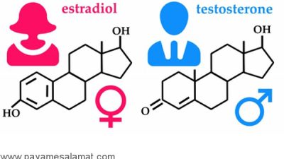 علائم و نشانه های استروژن بالا در بدن مردان و زنان