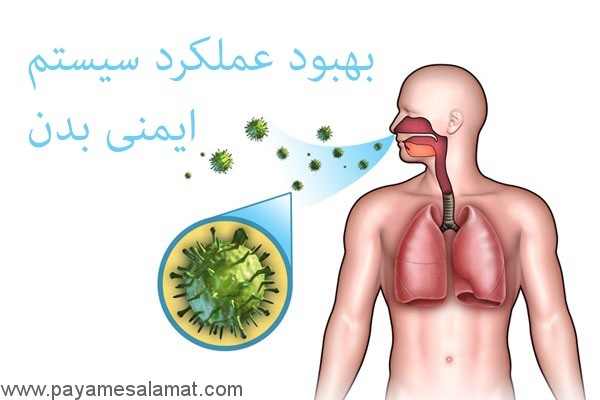 بهبود عملکرد سیستم ایمنی بدن