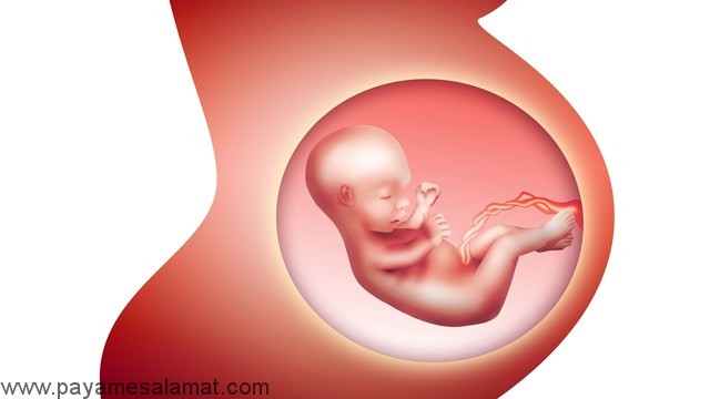 مهمترین نکات در مورد مراقبت های قبل از بارداری
