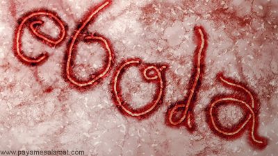 علائم، علل و درمان ابولا