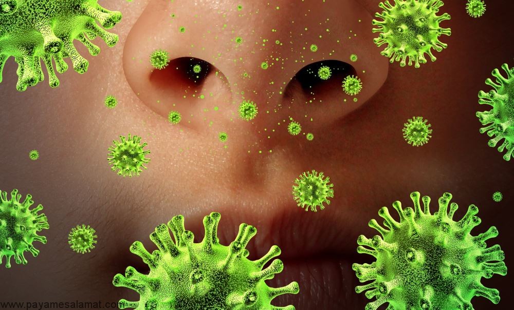 عفونت چیست و چه چیزی باعث عفونت می شود؟