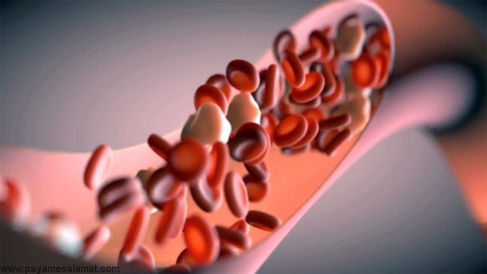 بیولوژی و ساختار دستگاه جریان خون در انسان