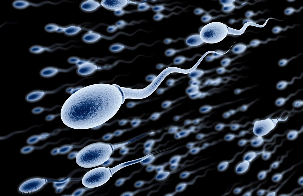 افزایش تعداد اسپرم با طب سنتی و به روش خانگی
