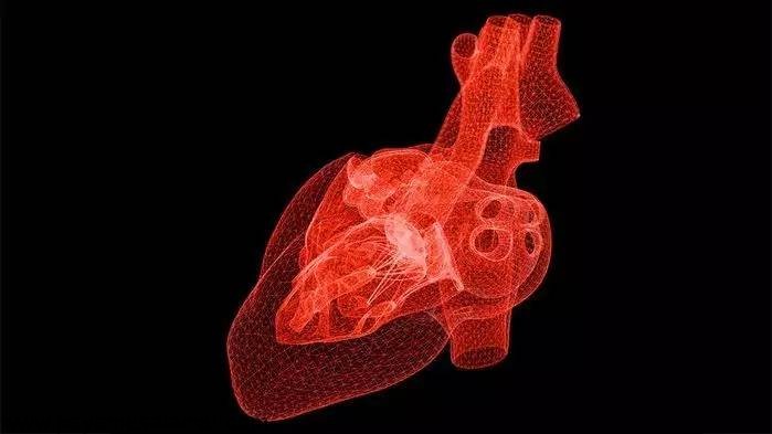 دانستنی های جالب در مورد قلب که ممکن است از آن ها اطلاع نداشته باشید