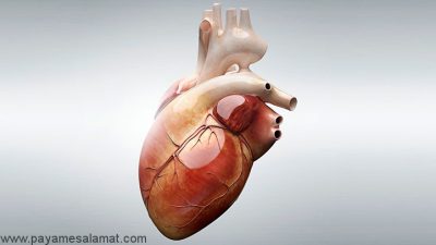 درمان های خانگی برای بیماری های قلبی به روش های طبیعی