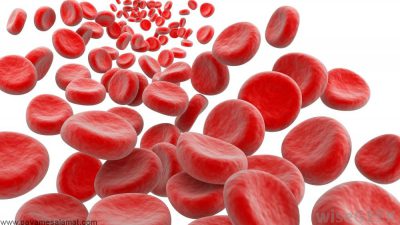 روش های طبیعی برای افزایش سطح هموگلوبین خون
