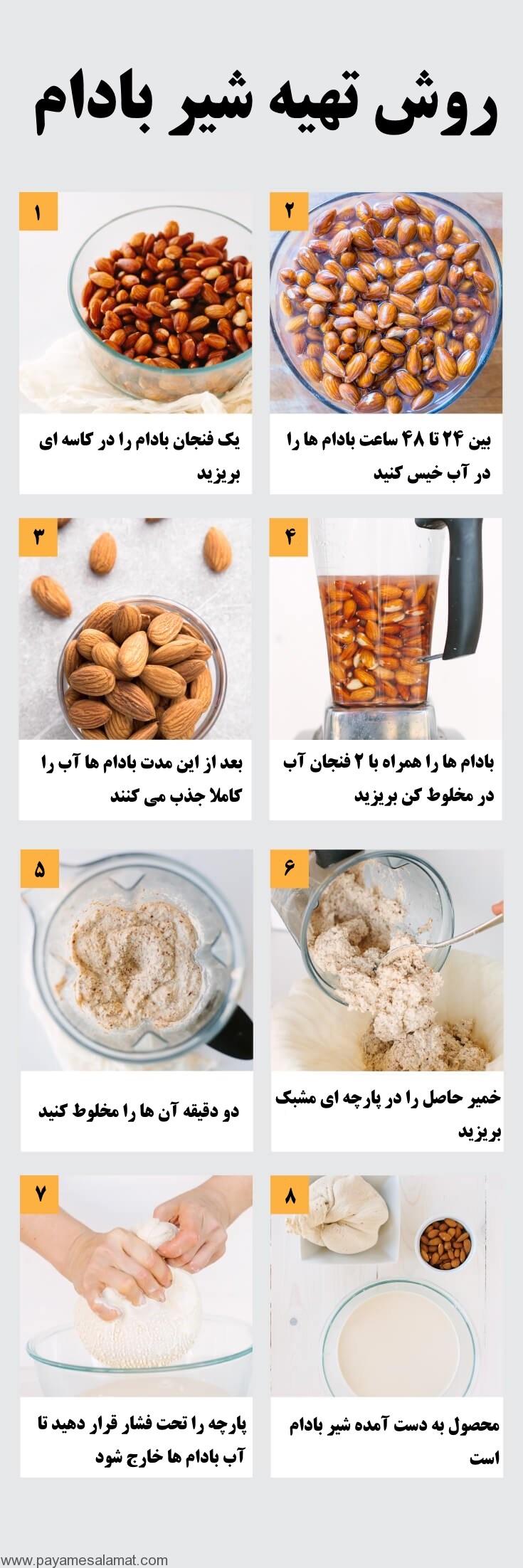 خواص شیر بادام برای مغز، قلب و استخوان ها به همراه ارزش غذایی این ماده