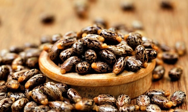 خواص و نحوه استفاده از روغن کرچک برای پوست و مو