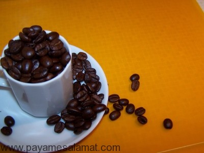 کاربرد پوست تخم مرغ