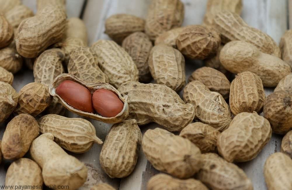 مواد غذایی غنی از بیوتین