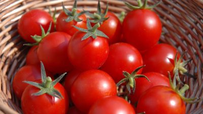 خواص و ارزش غذایی گوجه فرنگی و توانایی این ماده برای مبارزه با التهاب و سرطان