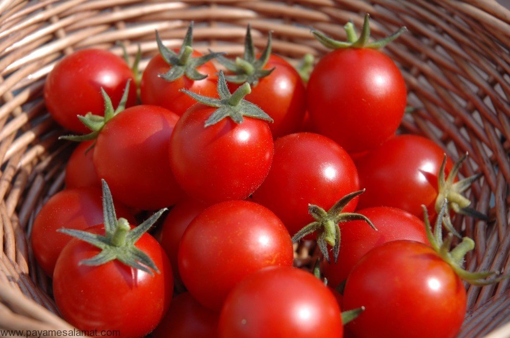 خواص و ارزش غذایی گوجه فرنگی و توانایی این ماده برای مبارزه با التهاب و سرطان