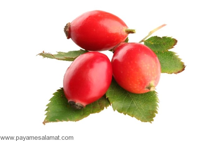 مواد غذایی سرشار از ویتامین C